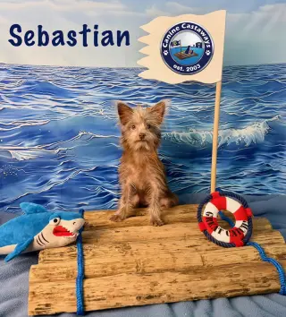 Sebastian
