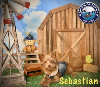 Sebastian