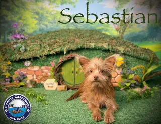 Sebastian