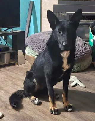 Onyx