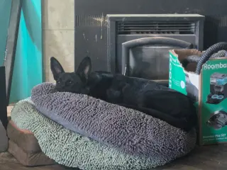 Onyx