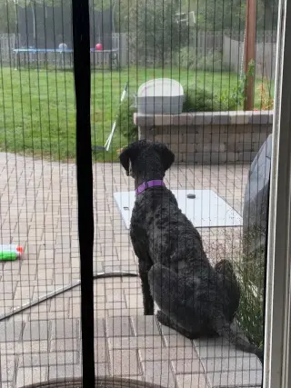 Sirius