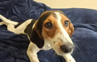Zoe