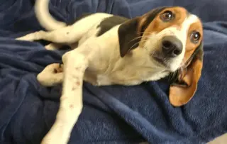 Zoe