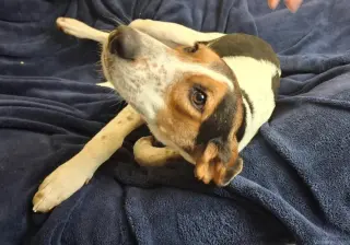 Zoe