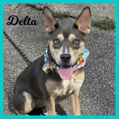 Delta