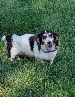 Ernie