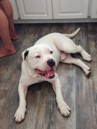Tank