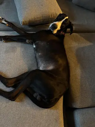 Ben