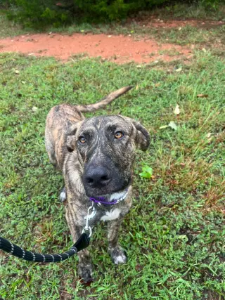 Wiley: At shelter