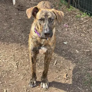 Wiley: At shelter