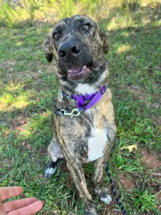 Wiley: At shelter
