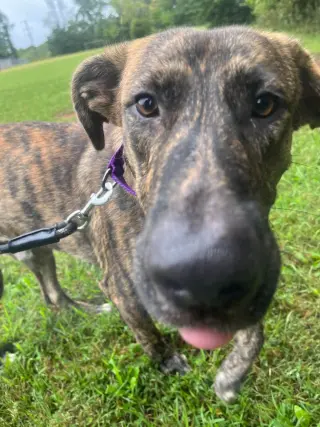 Wiley: At shelter