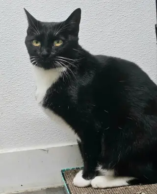 Mia