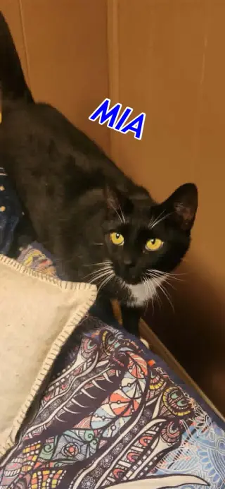 Mia