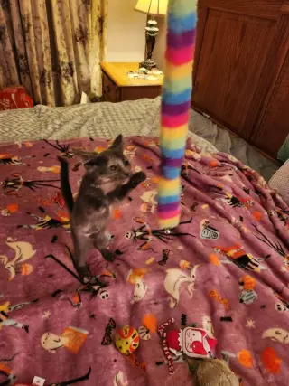 Rosie