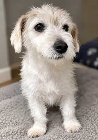 Ella