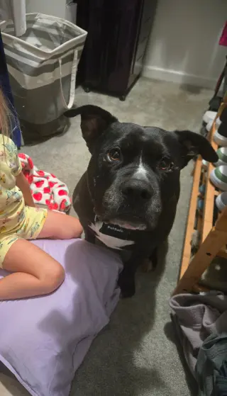 Charlie