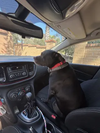 Charlie