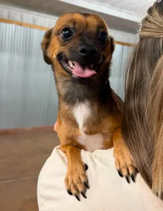 Nacho