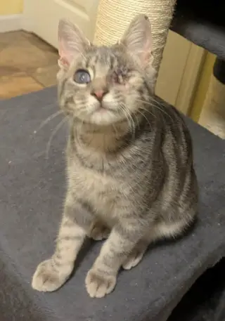 Mr. Magoo