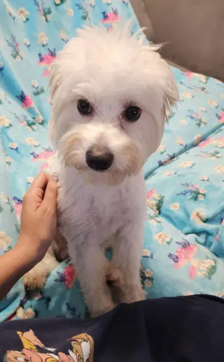 Coco Boy -Too cool for cocoa!