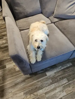 Coco Boy -Too cool for cocoa!