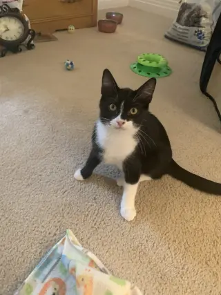 Carlos