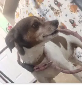 Gibson- sidekick material