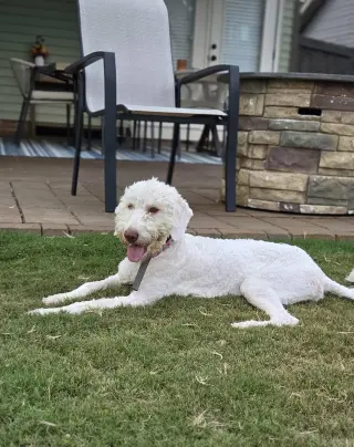 Lena