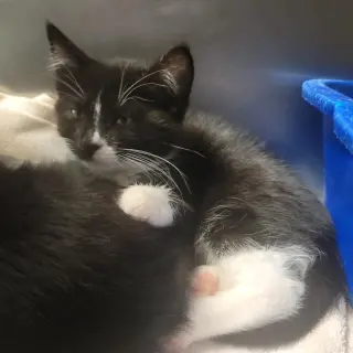 Lazy River