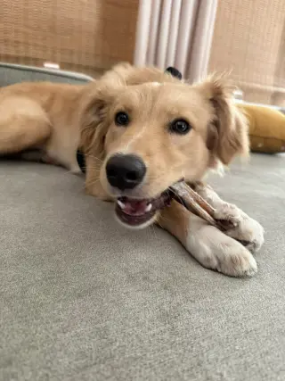 Lilly