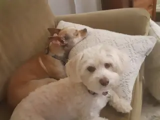 Buffy and Tina