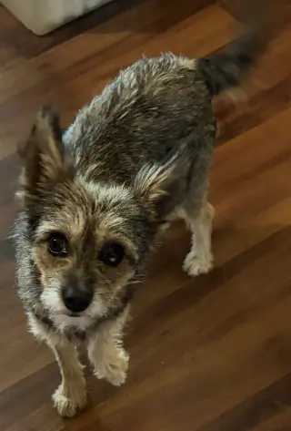 Fiona
