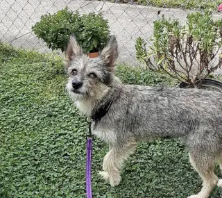 Fiona