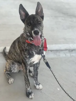 Coco