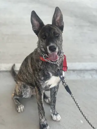 Coco