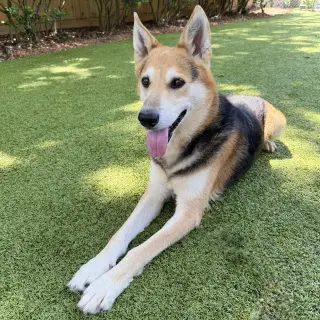Max