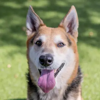 Max