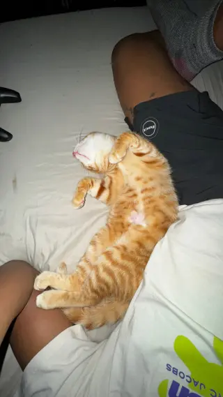 Furgus