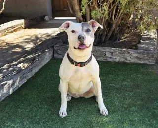Beautiful Ms Babe ~ Petite Sweetie Pie !