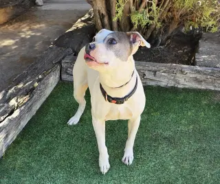Beautiful Ms Babe ~ Petite Sweetie Pie !