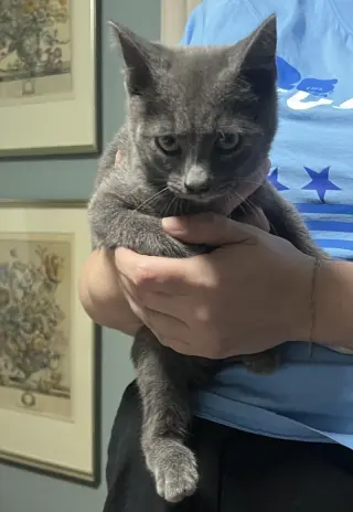 FLETCHER