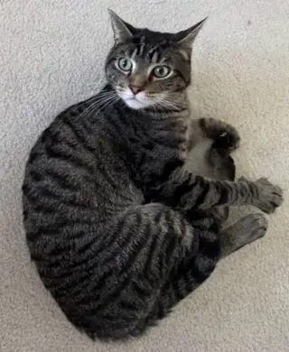 Hudson