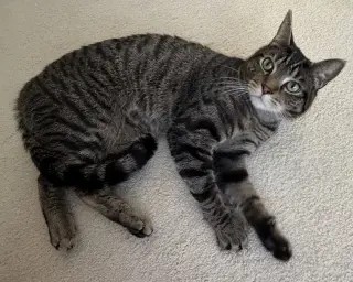Hudson