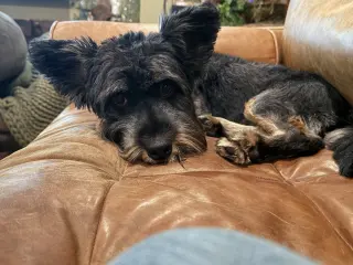 Waldo