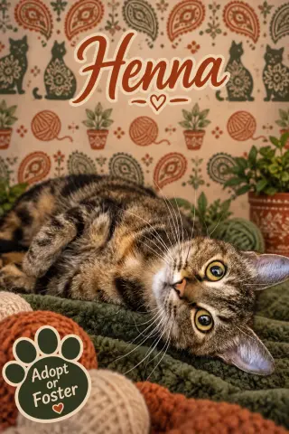 Henna (FCID# 09/09/2026 - 45 Trainer)
