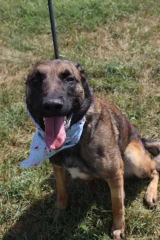 Lark - Located in VA