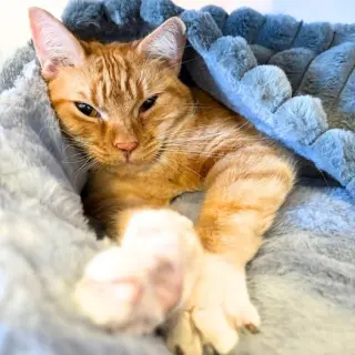 Oliver
