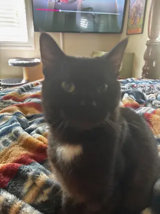 Theodore